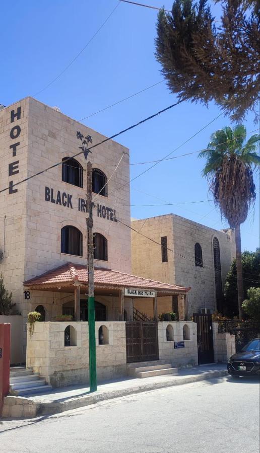 Black Iris Hotel Madaba Exterior photo